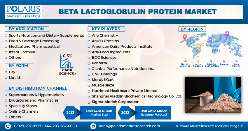 Beta Lactoglobulin Protein Market Size